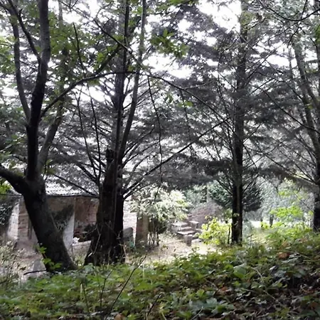 La Ca' - Casa Nel Bosco Holiday home Palagano