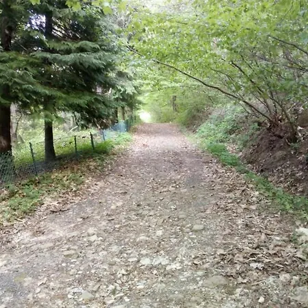 La Ca' - Casa Nel Bosco * Palagano
