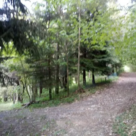 La Ca' - Casa Nel Bosco Palagano