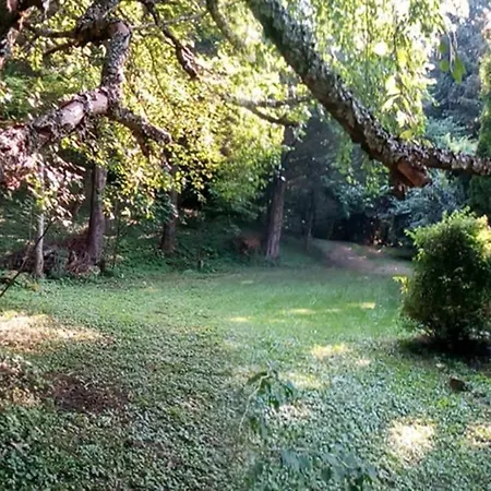 La Ca' - Casa Nel Bosco *