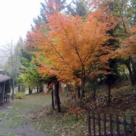 Holiday home La Ca' - Casa Nel Bosco Palagano