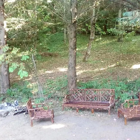 Holiday home La Ca' - Casa Nel Bosco Palagano