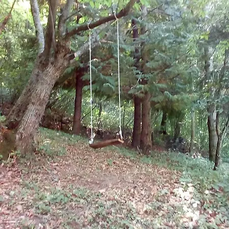 La Ca' - Casa Nel Bosco Holiday home